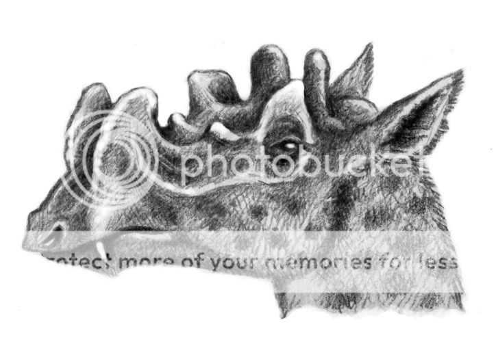 北邮人论坛手机版